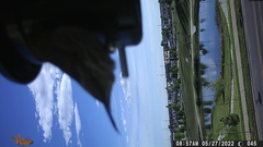 Haemorhous mexicanus