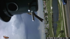 Haemorhous mexicanus