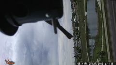 Haemorhous mexicanus