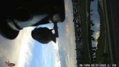 Haemorhous mexicanus