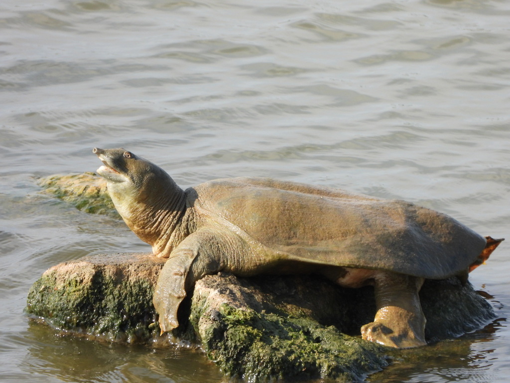 Photo by Walter Allmandinger