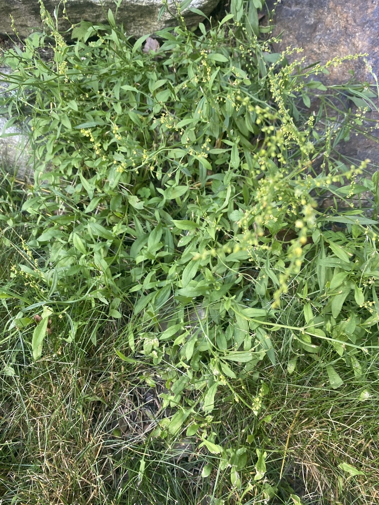 docks from Jennifer Dr, Holden, MA, US on June 28, 2022 at 0419 PM by