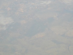 Moxostoma macrolepidotum