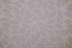 Uredinopsis filicina