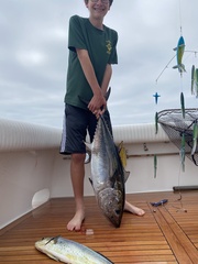 Thunnus orientalis