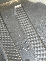 Chaoborus punctipennis