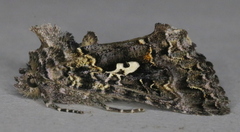Syngrapha alias