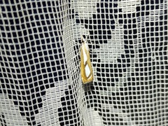 Catoptria permutatellus