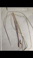 Eragrostis secundiflora