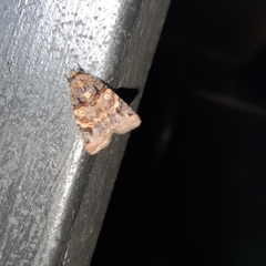 Hampsonodes