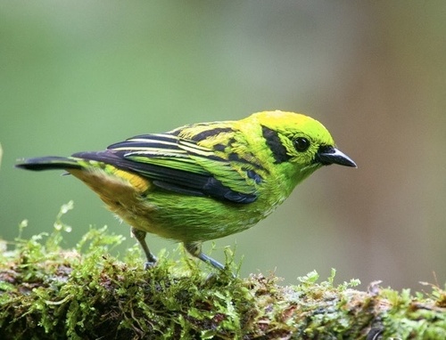 Shisha bilan jinsiy aloqa video yuqori sifatli Katta dumbali gozal qizlarning fotosuratlari