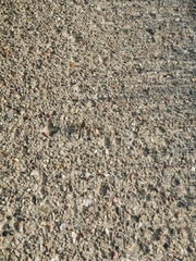 Orthetrum cancellatum