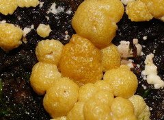 Trichoderma paraviridescens