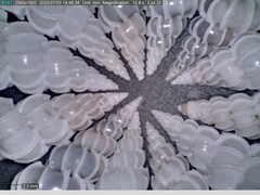 Epitonium pyramidale