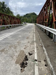 Dendrelaphis philippinensis