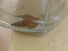Thiaridae