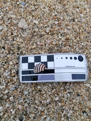 Opeatostoma pseudodon