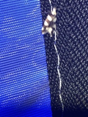 Pseudotelphusa tessella