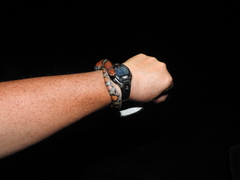 Cemophora coccinea copei