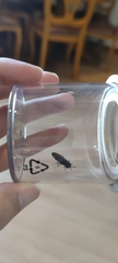 Hermetia illucens