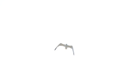 Larus
