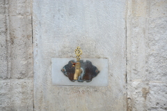 Vespa orientalis