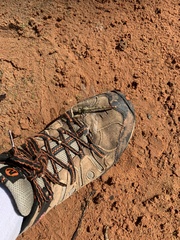 Arigomphus submedianus