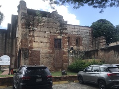 Psittacara chloropterus