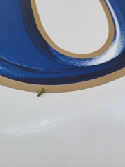 Graphocephala atropunctata