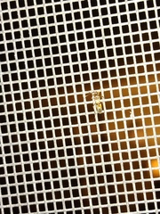 Sericophanes heidemanni