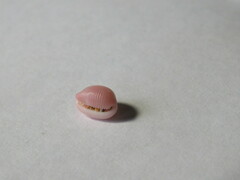 Niveria quadripunctata