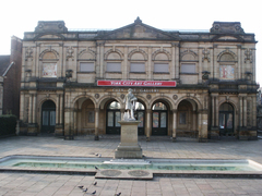 Columba livia domestica
