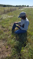 Spiranthes magnicamporum