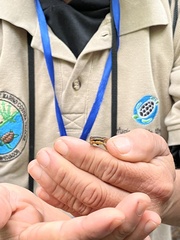 Epipedobates machalilla