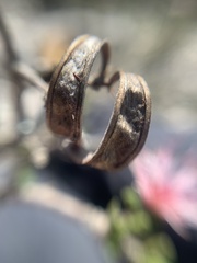 Calliandropsis nervosa