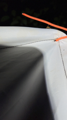 Microtheoris ophionalis