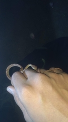Boiga