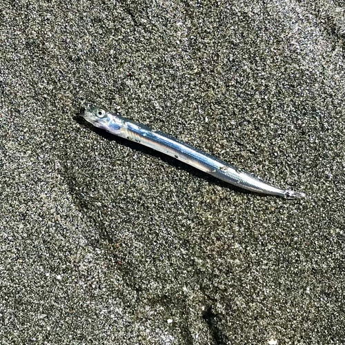 Ammodytes personatus