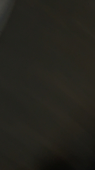 Euthyrhynchus floridanus