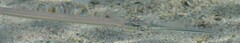 Hyporhamphus affinis
