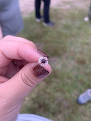 Phyla nodiflora nodiflora