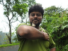 Polyura bharata