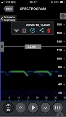 Hipposideros armiger terasensis