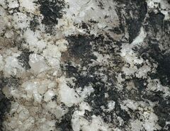 Lichenothelia