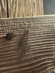 Brachynemurus nebulosus