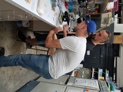 Cladosporium cladosporioides