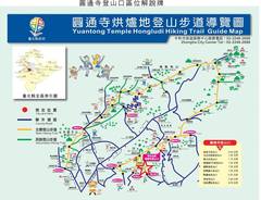 Psilocybe subcaerulipes