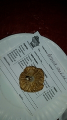 Russula earlei