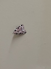 Aglossa costiferalis