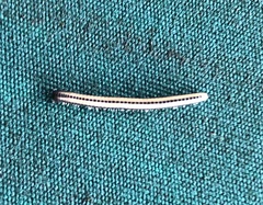 Spirobolellus immigrans